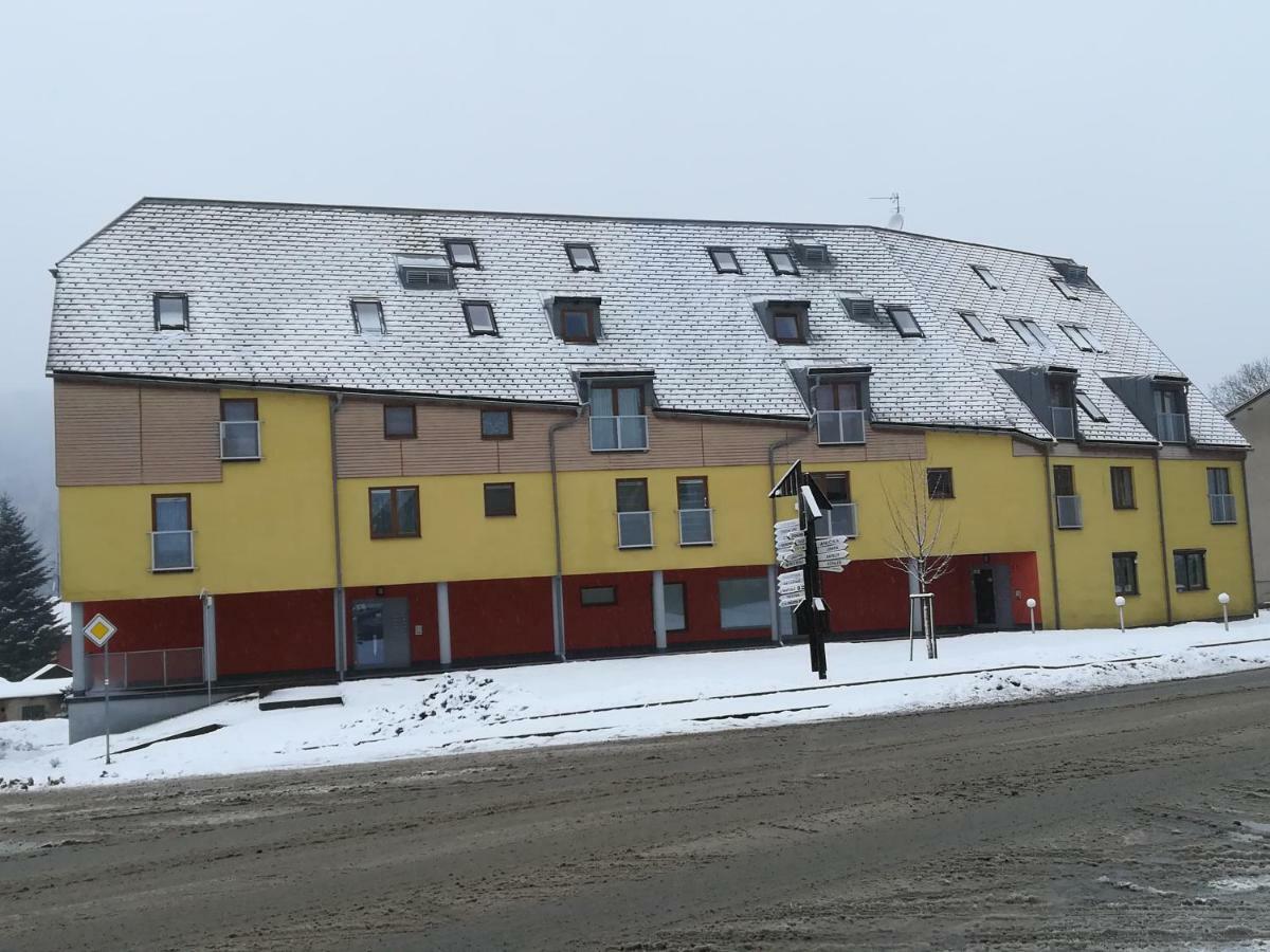 Apartman Destna Cp.1 Destne v Orlickych horach Exterior photo